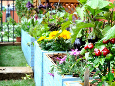 Ortidea orto urbano giardino verde ecosostenibile green
