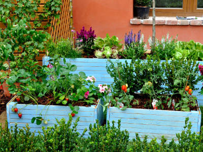 Ortidea orto urbano giardino verde ecosostenibile green